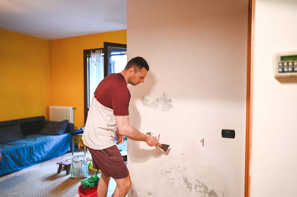 Best Emergency Mold Removal  in Syracuse, NY